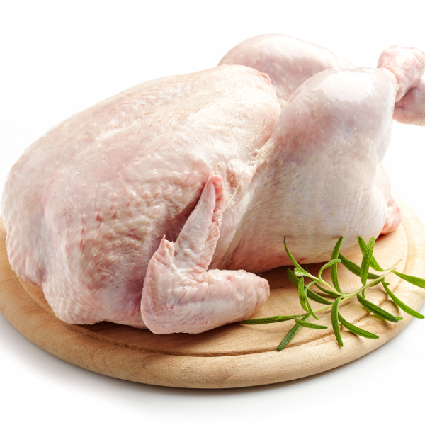Poultry