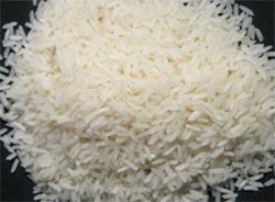 Cumin